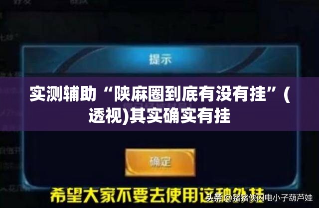 实测辅助“陕麻圈到底有没有挂”(透视)其实确实有挂