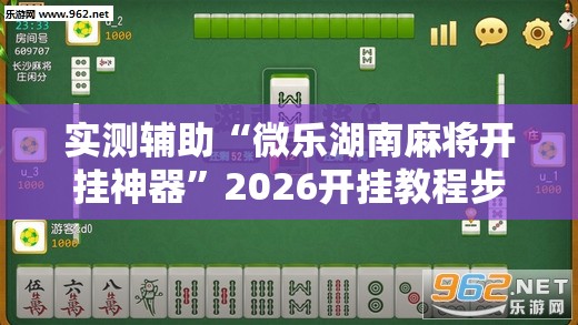 实测辅助“微乐湖南麻将开挂神器”2026开挂教程步骤