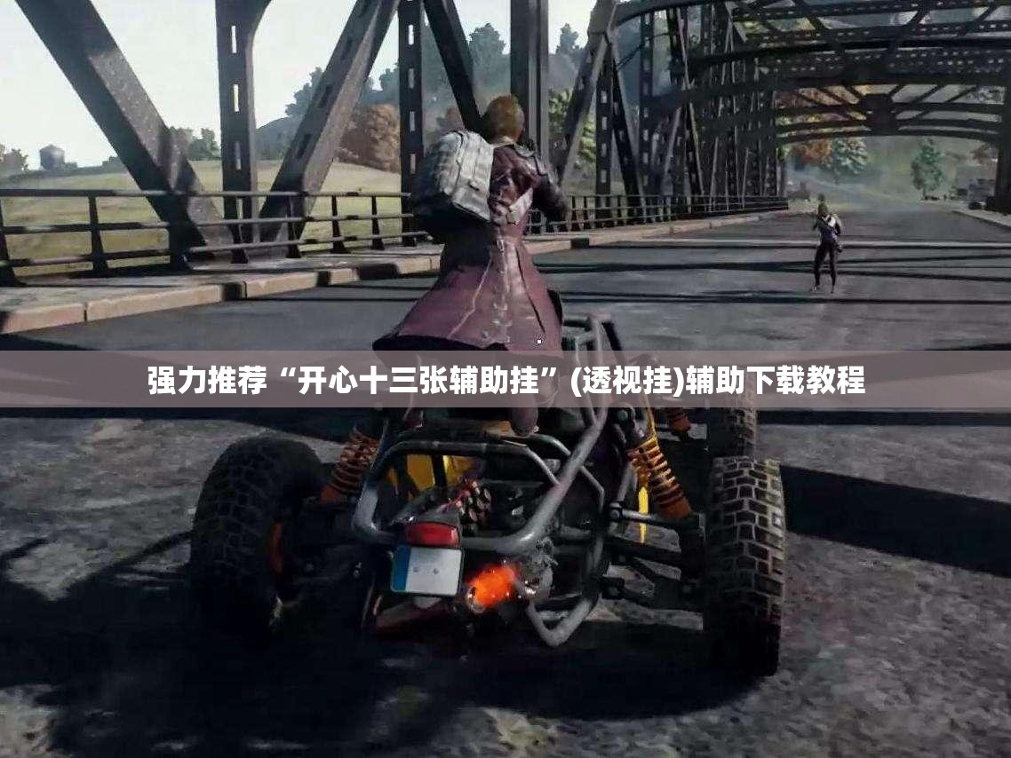 强力推荐“开心十三张辅助挂”(透视挂)辅助下载教程