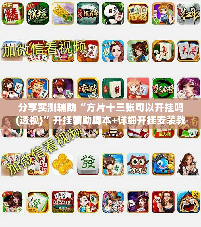 分享实测辅助“方片十三张可以开挂吗(透视)”开挂辅助脚本+详细开挂安装教程