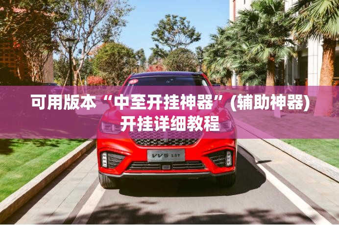 可用版本“中至开挂神器	”(辅助神器)开挂详细教程