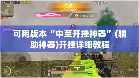 可用版本“中至开挂神器”(辅助神器)开挂详细教程