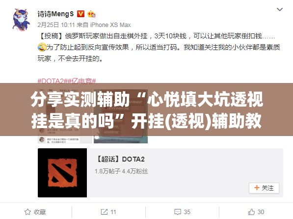 分享实测辅助“心悦填大坑透视挂是真的吗	”开挂(透视)辅助教程