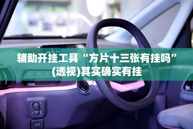 辅助开挂工具“方片十三张有挂吗”(透视)其实确实有挂
