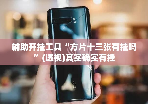 辅助开挂工具“方片十三张有挂吗	”(透视)其实确实有挂