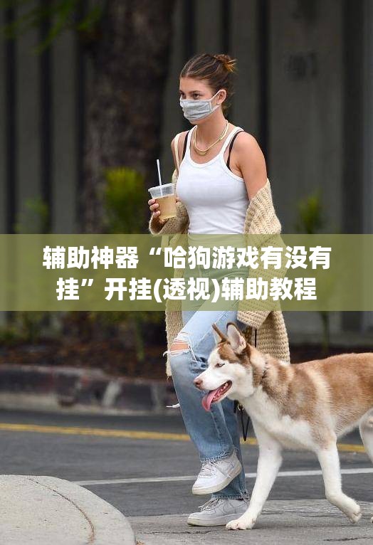 辅助神器“哈狗游戏有没有挂”开挂(透视)辅助教程