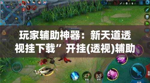 玩家辅助神器：新天道透视挂下载”开挂(透视)辅助教程