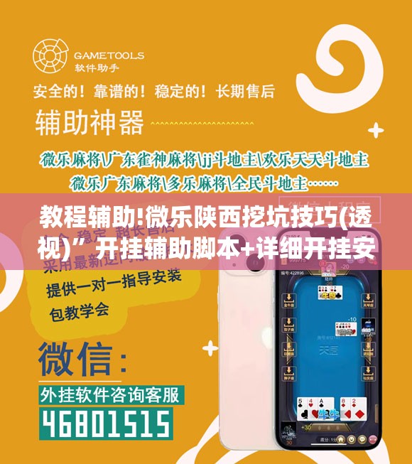 教程辅助!微乐陕西挖坑技巧(透视)	”开挂辅助脚本+详细开挂安装教程
