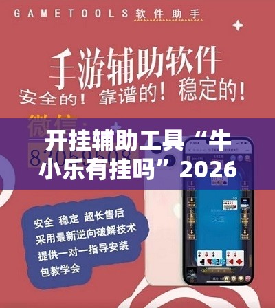 开挂辅助工具“牛小乐有挂吗”2026开挂教程步骤