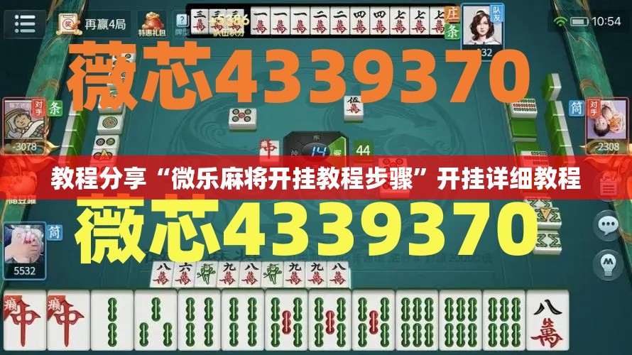 教程分享“微乐麻将开挂教程步骤”开挂详细教程