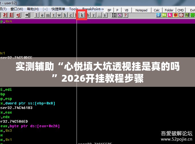 实测辅助“心悦填大坑透视挂是真的吗”2026开挂教程步骤
