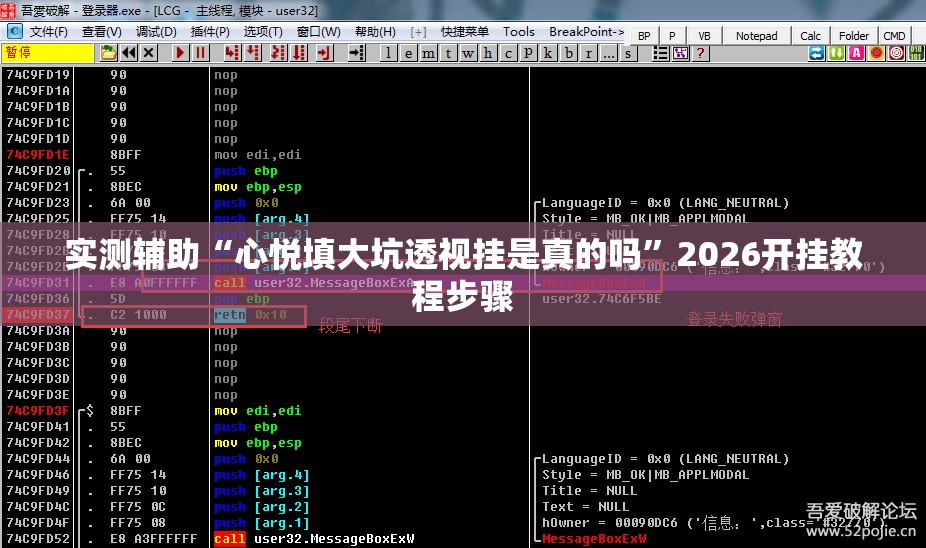 实测辅助“心悦填大坑透视挂是真的吗”2026开挂教程步骤