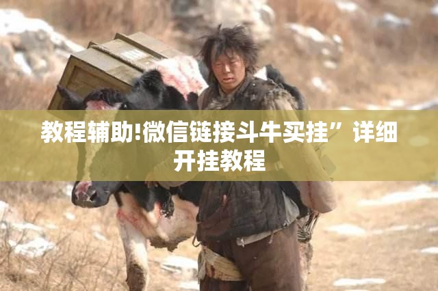 教程辅助!微信链接斗牛买挂”详细开挂教程