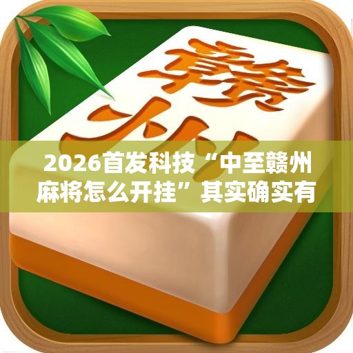 2026首发科技“中至赣州麻将怎么开挂”其实确实有挂