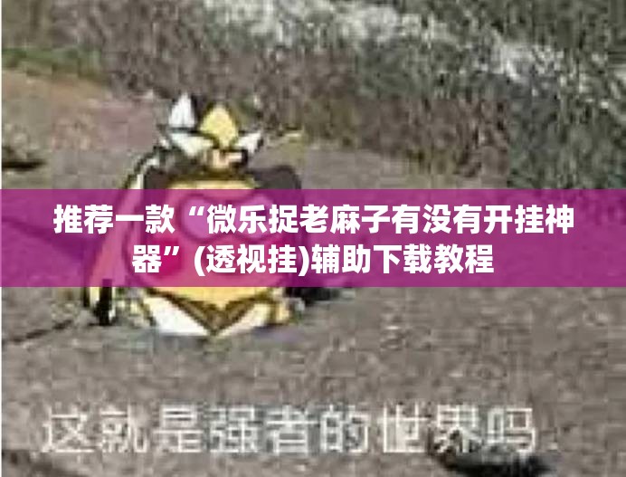 推荐一款“微乐捉老麻子有没有开挂神器”(透视挂)辅助下载教程