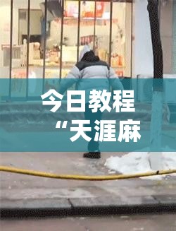 今日教程“天涯麻将怎么开挂	”开挂辅助脚本+详细开挂安装教程
