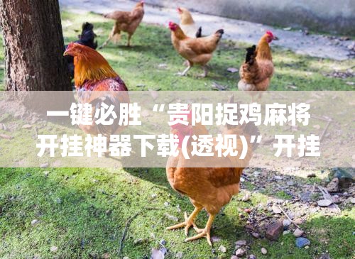 一键必胜“贵阳捉鸡麻将开挂神器下载(透视)	”开挂辅助脚本+详细开挂安装教程