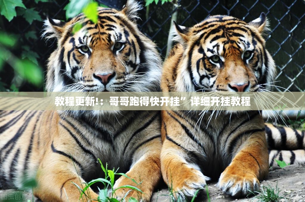 教程更新!：哥哥跑得快开挂”详细开挂教程