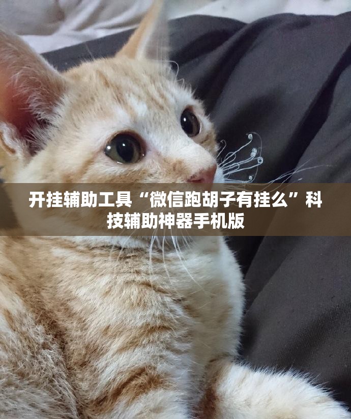 开挂辅助工具“微信跑胡子有挂么”科技辅助神器手机版