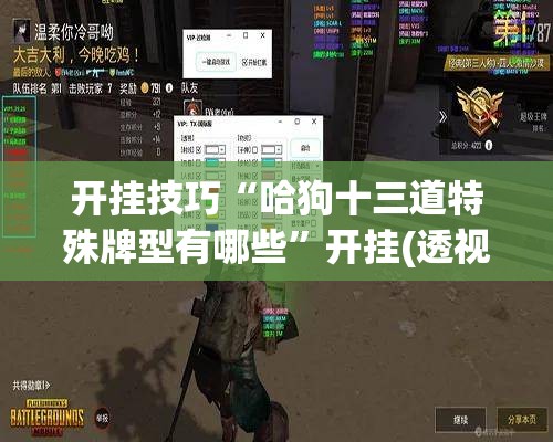开挂技巧“哈狗十三道特殊牌型有哪些”开挂(透视)最新辅助详细