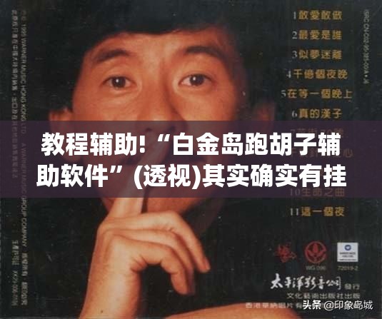 教程辅助!“白金岛跑胡子辅助软件”(透视)其实确实有挂