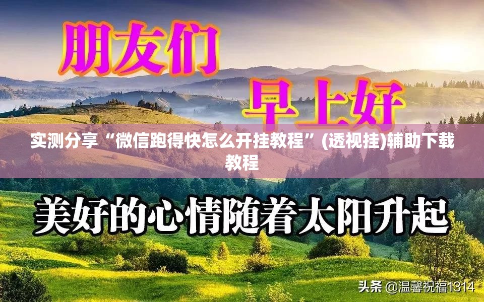 实测分享“微信跑得快怎么开挂教程”(透视挂)辅助下载教程