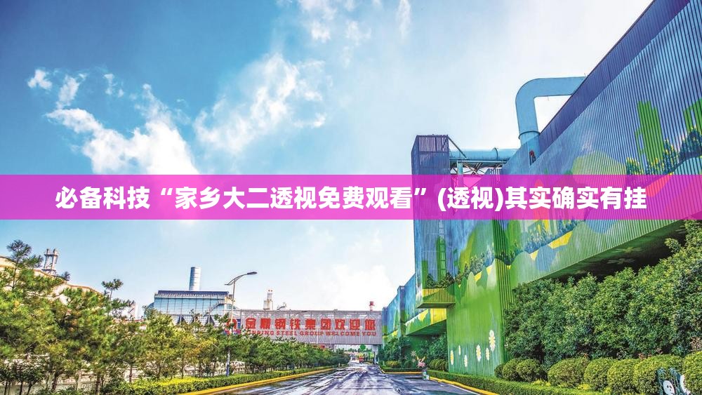 必备科技“家乡大二透视免费观看”(透视)其实确实有挂