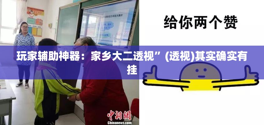 玩家辅助神器：家乡大二透视	”(透视)其实确实有挂