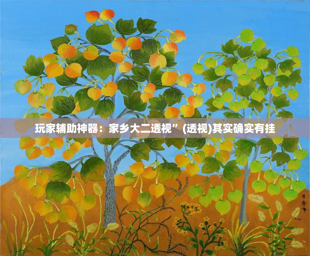 玩家辅助神器：家乡大二透视”(透视)其实确实有挂