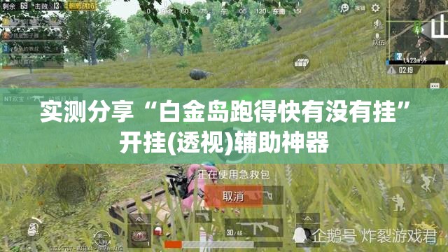 实测分享“白金岛跑得快有没有挂”开挂(透视)辅助神器
