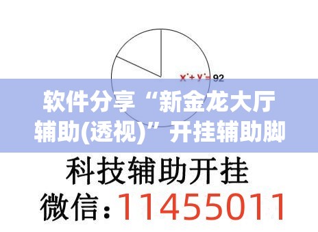 软件分享“新金龙大厅辅助(透视)”开挂辅助脚本+详细开挂安装教程