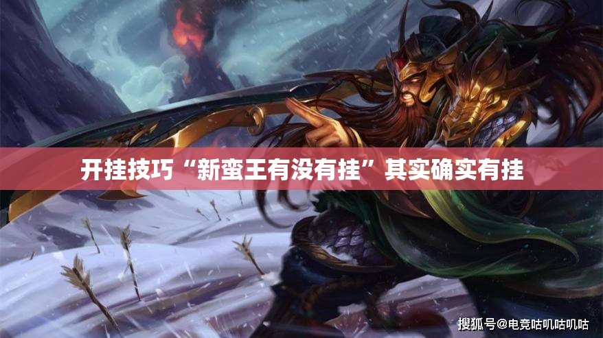 开挂技巧“新蛮王有没有挂”其实确实有挂