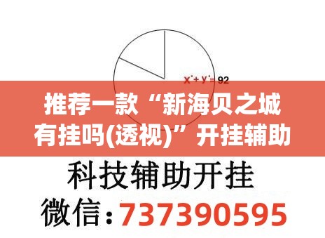 推荐一款“新海贝之城有挂吗(透视)”开挂辅助脚本+详细开挂安装教程