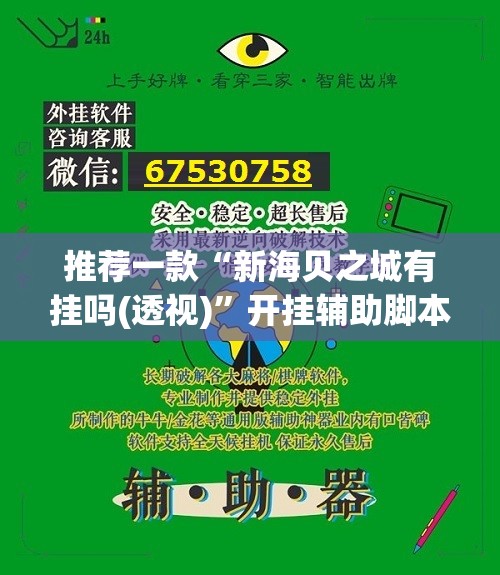 推荐一款“新海贝之城有挂吗(透视)”开挂辅助脚本+详细开挂安装教程
