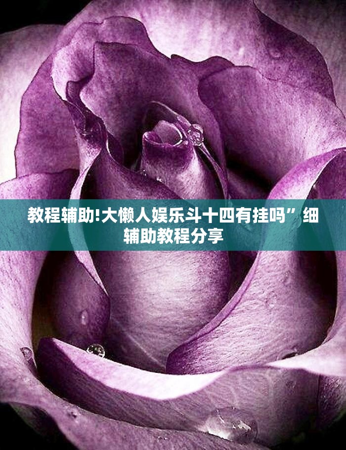 教程辅助!大懒人娱乐斗十四有挂吗”细辅助教程分享