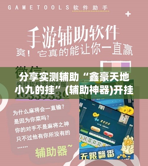分享实测辅助“鑫豪天地小九的挂	”(辅助神器)开挂详细教程