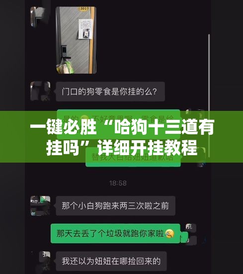 一键必胜“哈狗十三道有挂吗”详细开挂教程