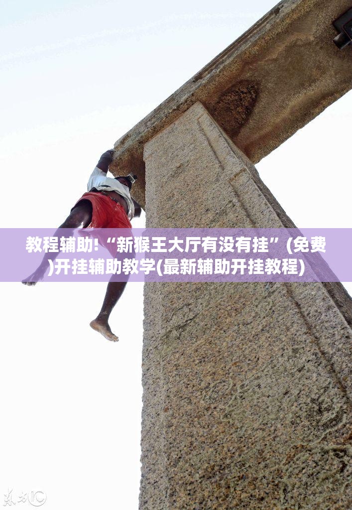 教程辅助!“新猴王大厅有没有挂	”(免费)开挂辅助教学(最新辅助开挂教程)