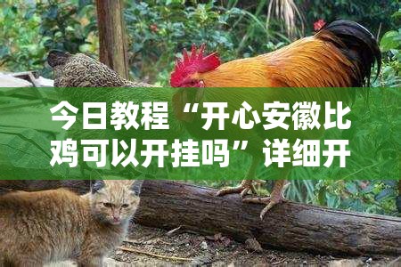 今日教程“开心安徽比鸡可以开挂吗”详细开挂教程