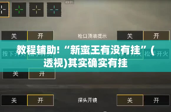 教程辅助!“新蛮王有没有挂”(透视)其实确实有挂