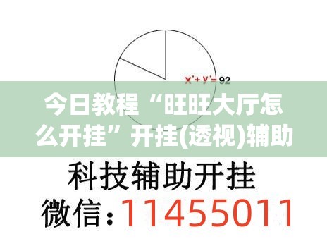 今日教程“旺旺大厅怎么开挂”开挂(透视)辅助神器