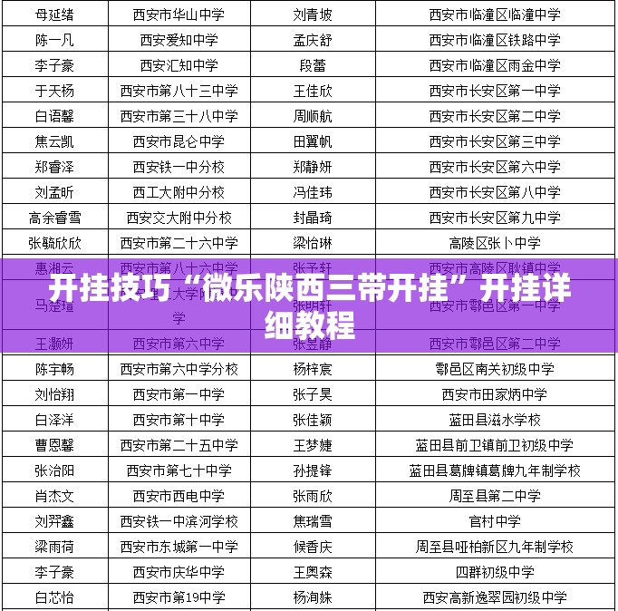 开挂技巧“微乐陕西三带开挂”开挂详细教程