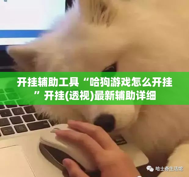 开挂辅助工具“哈狗游戏怎么开挂	”开挂(透视)最新辅助详细