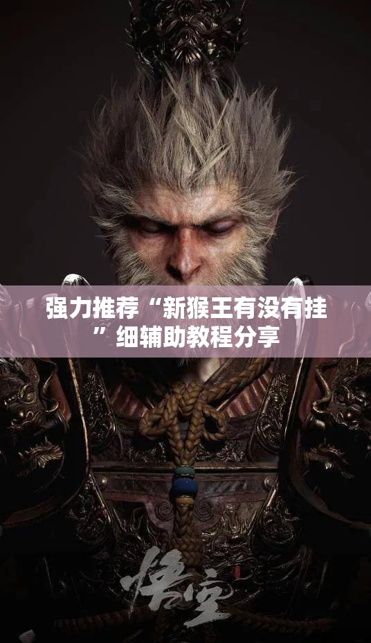 强力推荐“新猴王有没有挂”细辅助教程分享