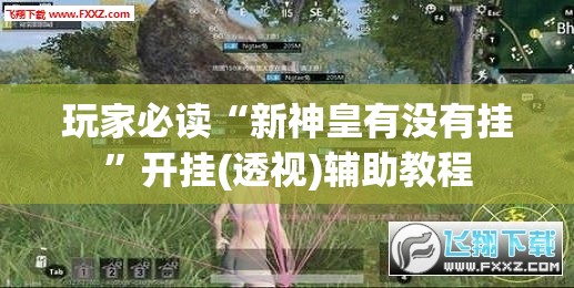 玩家必读“新神皇有没有挂”开挂(透视)辅助教程