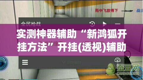 实测神器辅助“新鸿狐开挂方法”开挂(透视)辅助教程