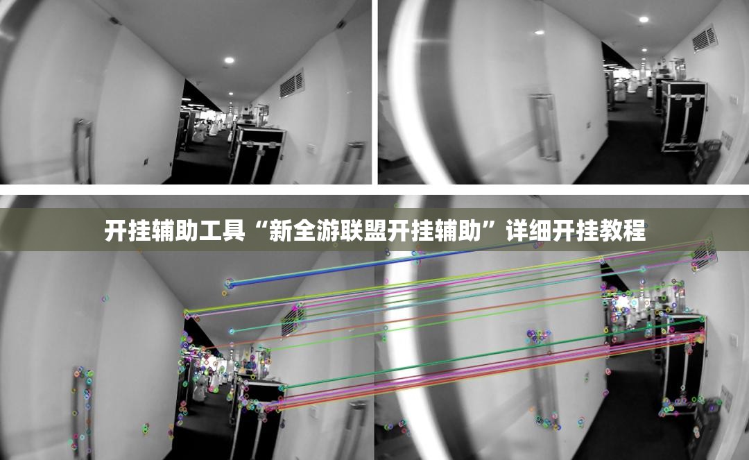 开挂辅助工具“新全游联盟开挂辅助	”详细开挂教程