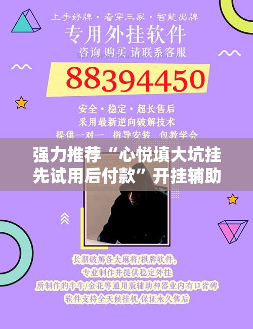 强力推荐“心悦填大坑挂先试用后付款”开挂辅助脚本+详细开挂安装教程