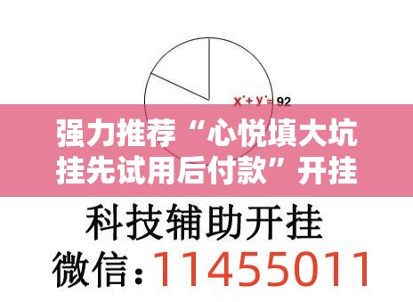 强力推荐“心悦填大坑挂先试用后付款	”开挂辅助脚本+详细开挂安装教程