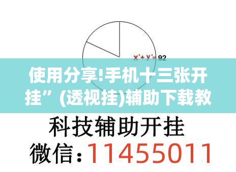使用分享!手机十三张开挂”(透视挂)辅助下载教程